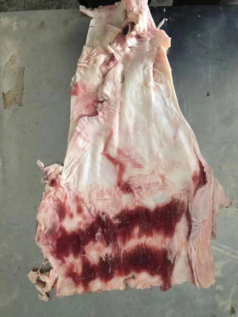 现货牛腩筋，精修去油一手货源质量保证价格实惠