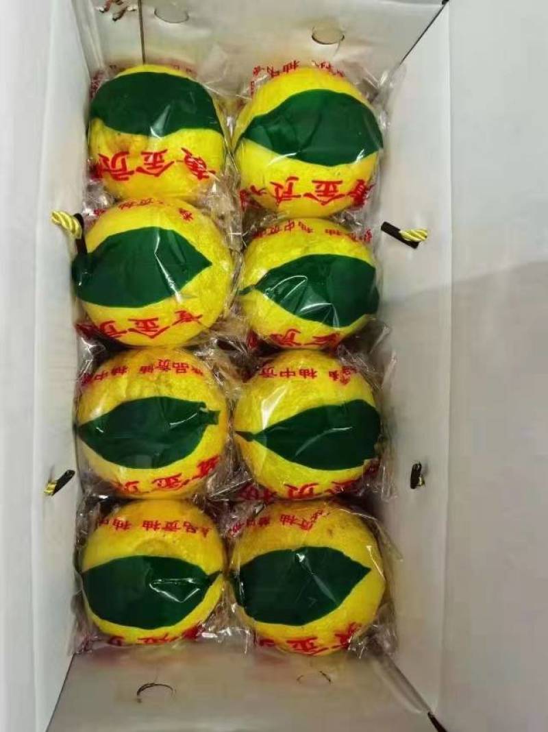 黄金贡柚