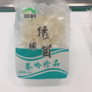绣球菌