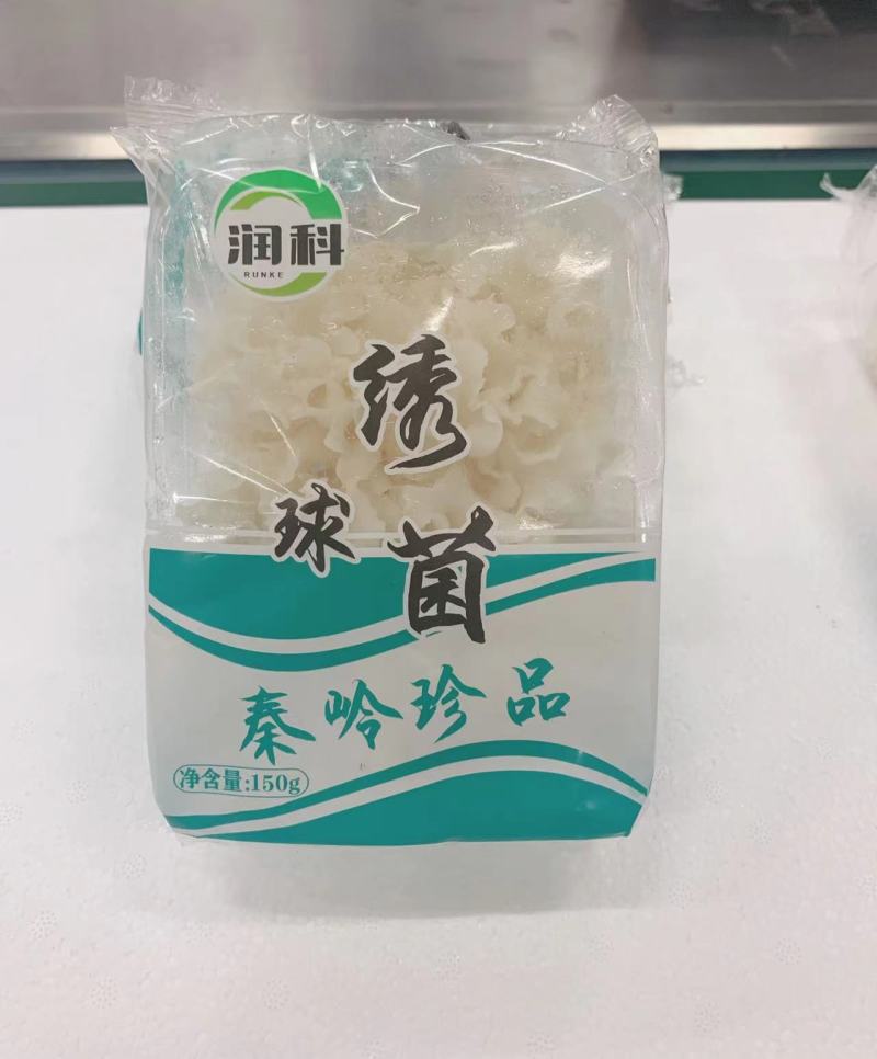 绣球菌