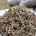 干豆角段原味无盐农家自制干豇豆免切豆角干段方便切节