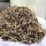 干豆角段原味无盐农家自制干豇豆免切豆角干段方便切节