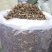 干豆角段原味无盐农家自制干豇豆免切豆角干段方便切节