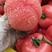 西红柿精品水果西红柿大量上市中，支持电商平台