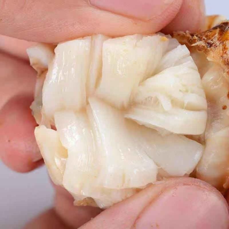 新鲜大扇贝肉冷冻元贝肉冻扇贝蒜蓉扇贝贝类冷冻海鲜肉瑶柱生