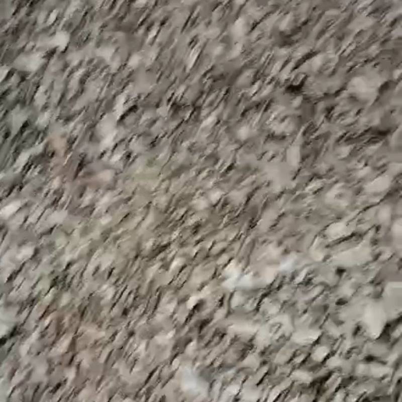 出售红薯干通货。