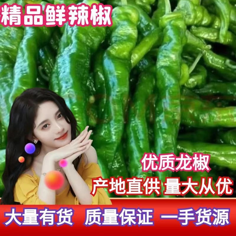 夏邑万亩301泡椒，螺丝椒，现椒，一条龙服务