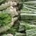 棒菜四川精品棒菜，新鲜供应，电商，平台，超市