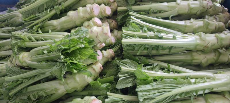 棒菜四川精品棒菜，新鲜供应，电商，平台，超市