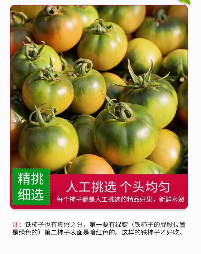 【顺丰】福建正宗草莓铁皮柿子