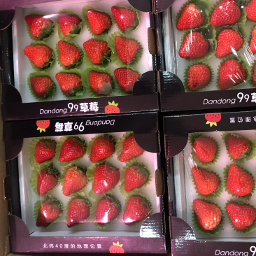 丹东九九草莓精品小黑盒12粒装全国开始发货