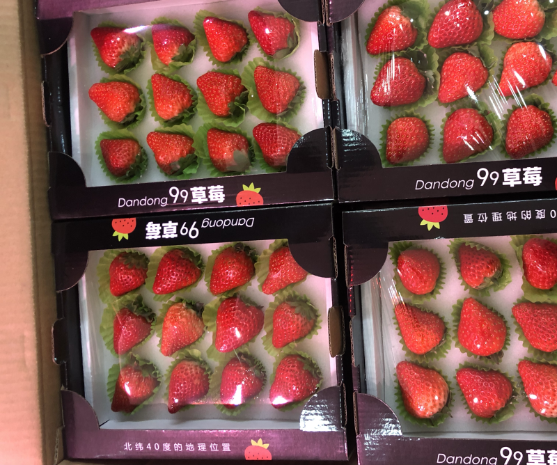 丹东九九草莓精品小黑盒12粒装全国开始发货