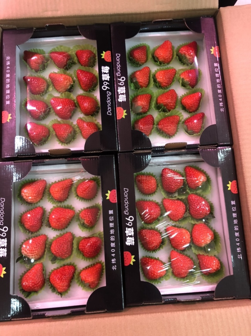 丹东九九草莓精品小黑盒12粒装全国开始发货