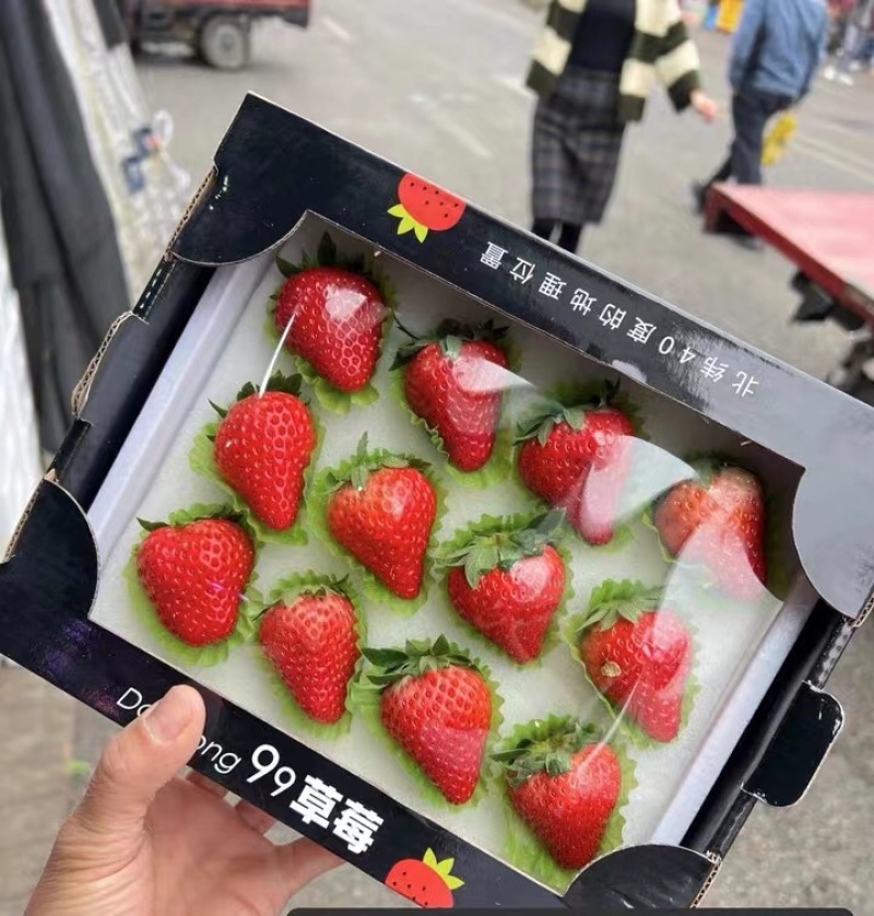 丹东九九草莓精品小黑盒12粒装全国开始发货