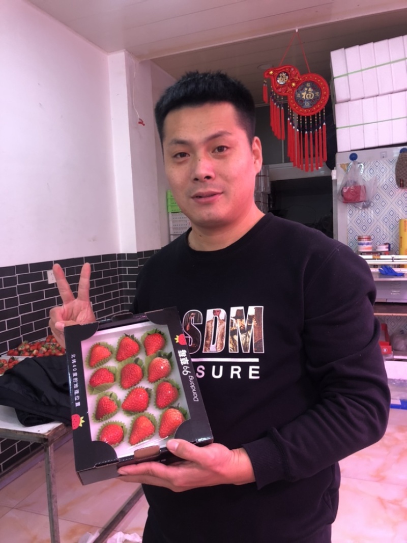 丹东九九草莓精品小黑盒12粒装全国开始发货
