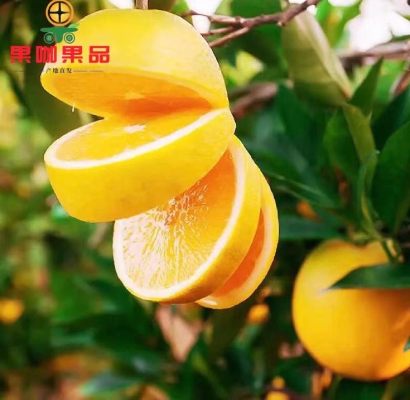 冰糖橙口感佳皮毛靓电商货市场货支持一件代发产地直供全国