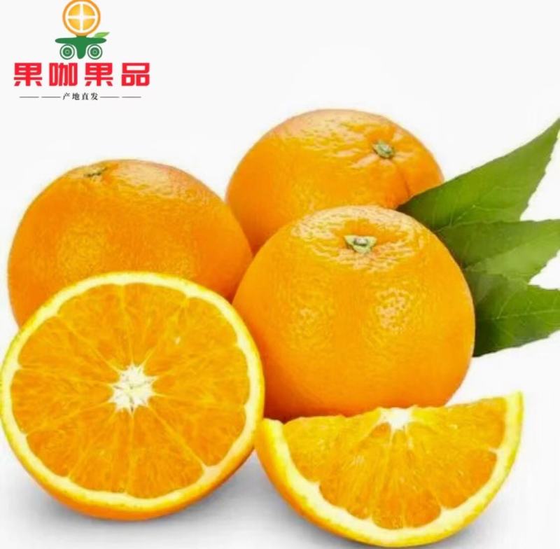 冰糖橙口感佳皮毛靓电商货市场货支持一件代发产地直供全国