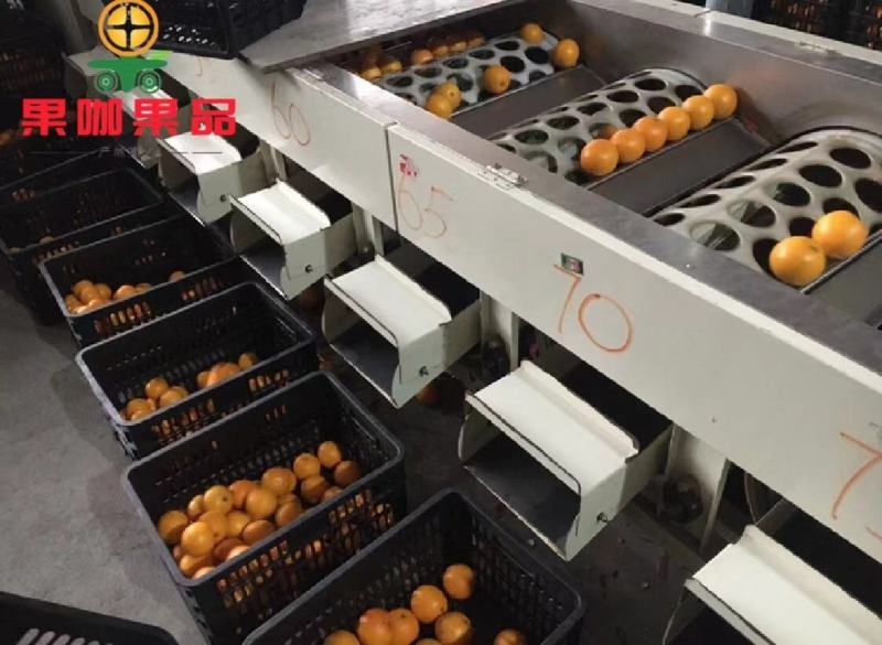 冰糖橙口感佳皮毛靓电商货市场货支持一件代发产地直供全国