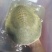 十年老黄沙，品质鱼，天花板