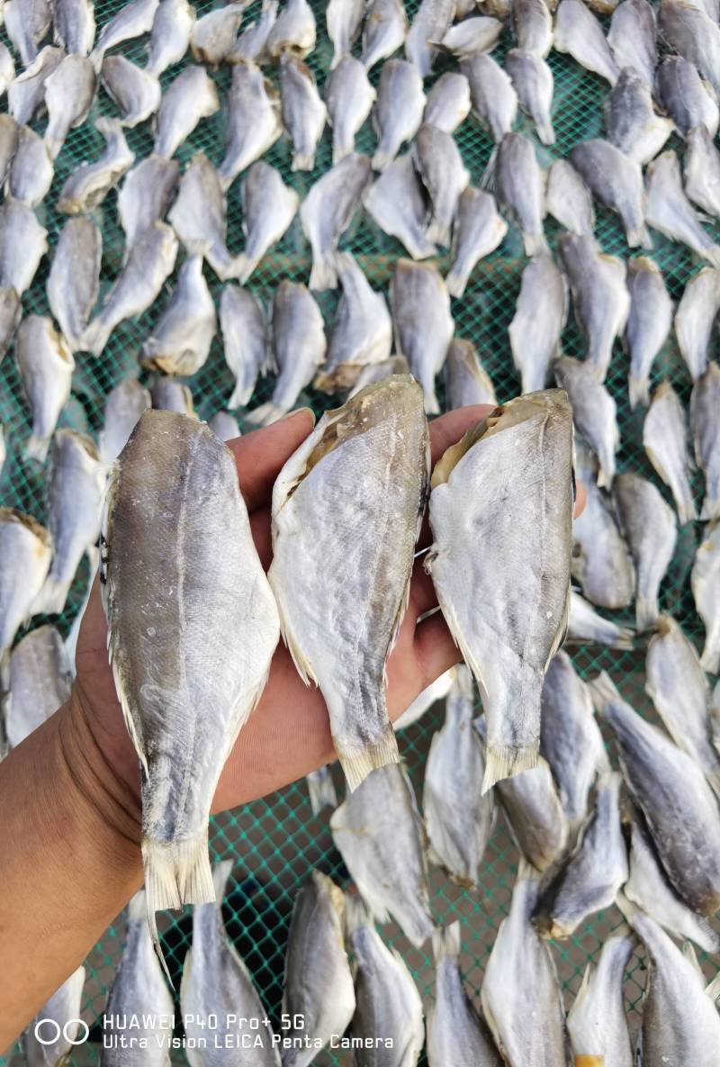 海鲈公鱼咸鱼干干货店家推荐