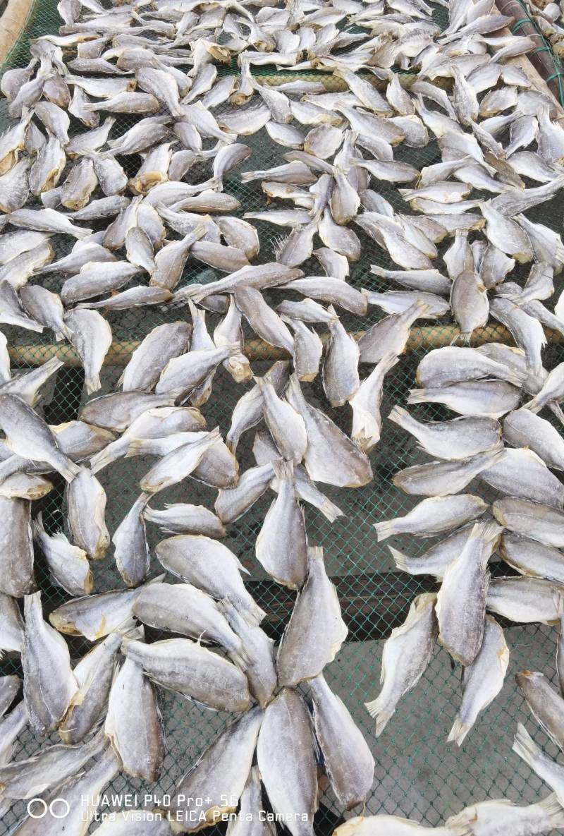 海鲈公鱼咸鱼干干货店家推荐
