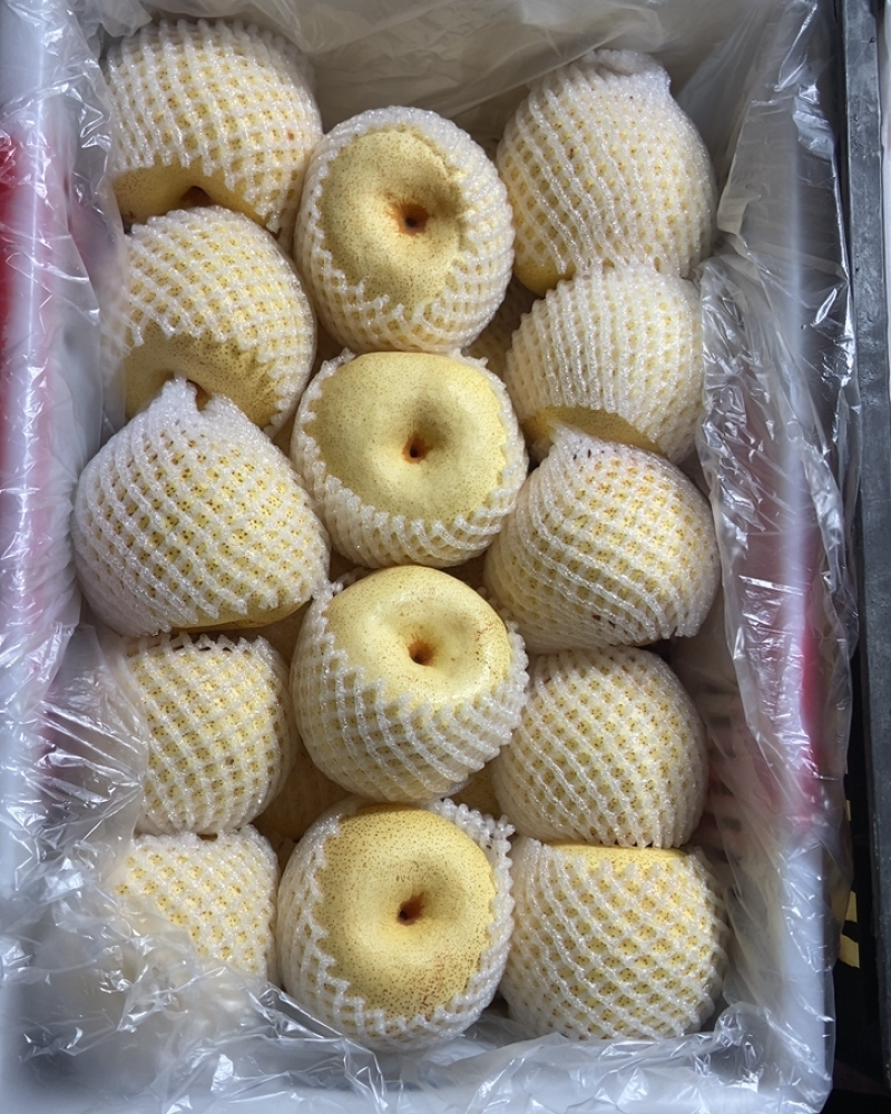 砀山梨