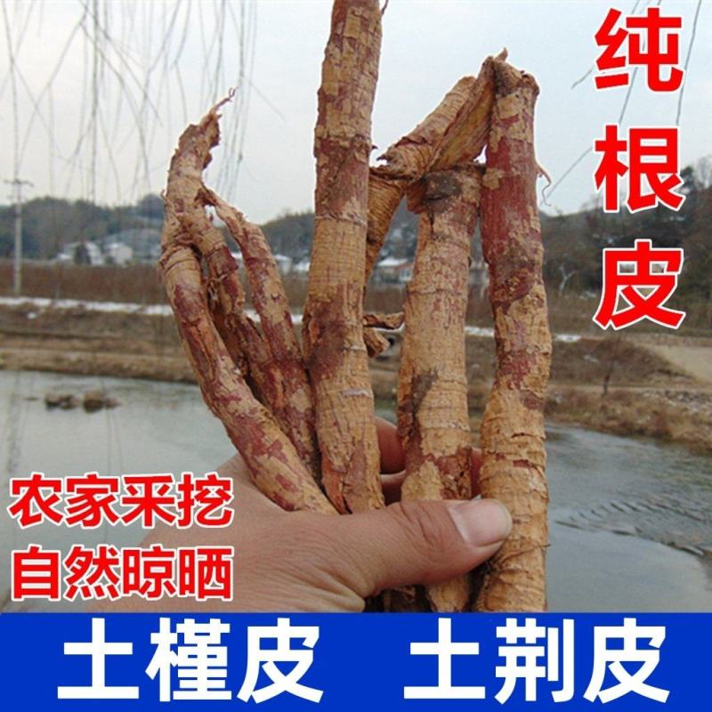 【土荆皮】中药材土槿皮土荆皮根皮金钱松根皮包邮