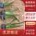 燕尾中袋苗