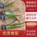 燕尾中袋苗