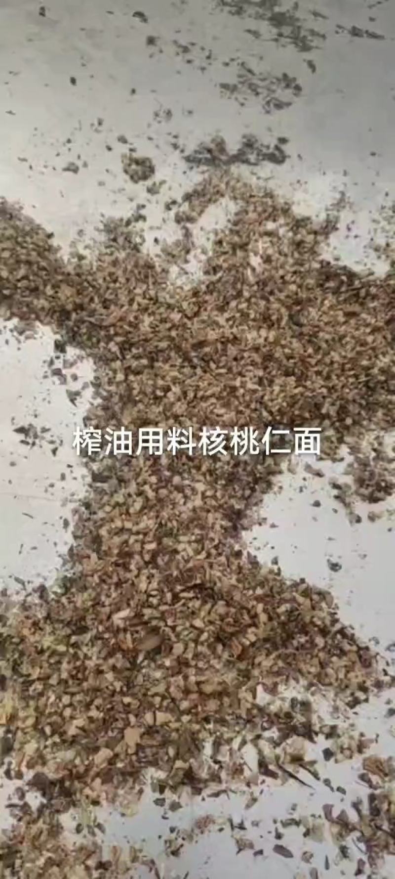 核桃，核桃仁面，核桃仁树苗