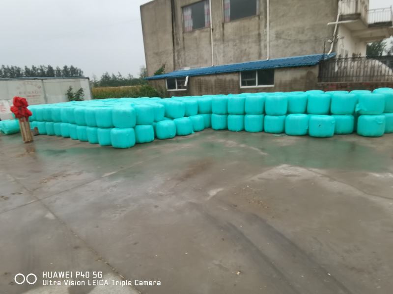 玉米秸秆