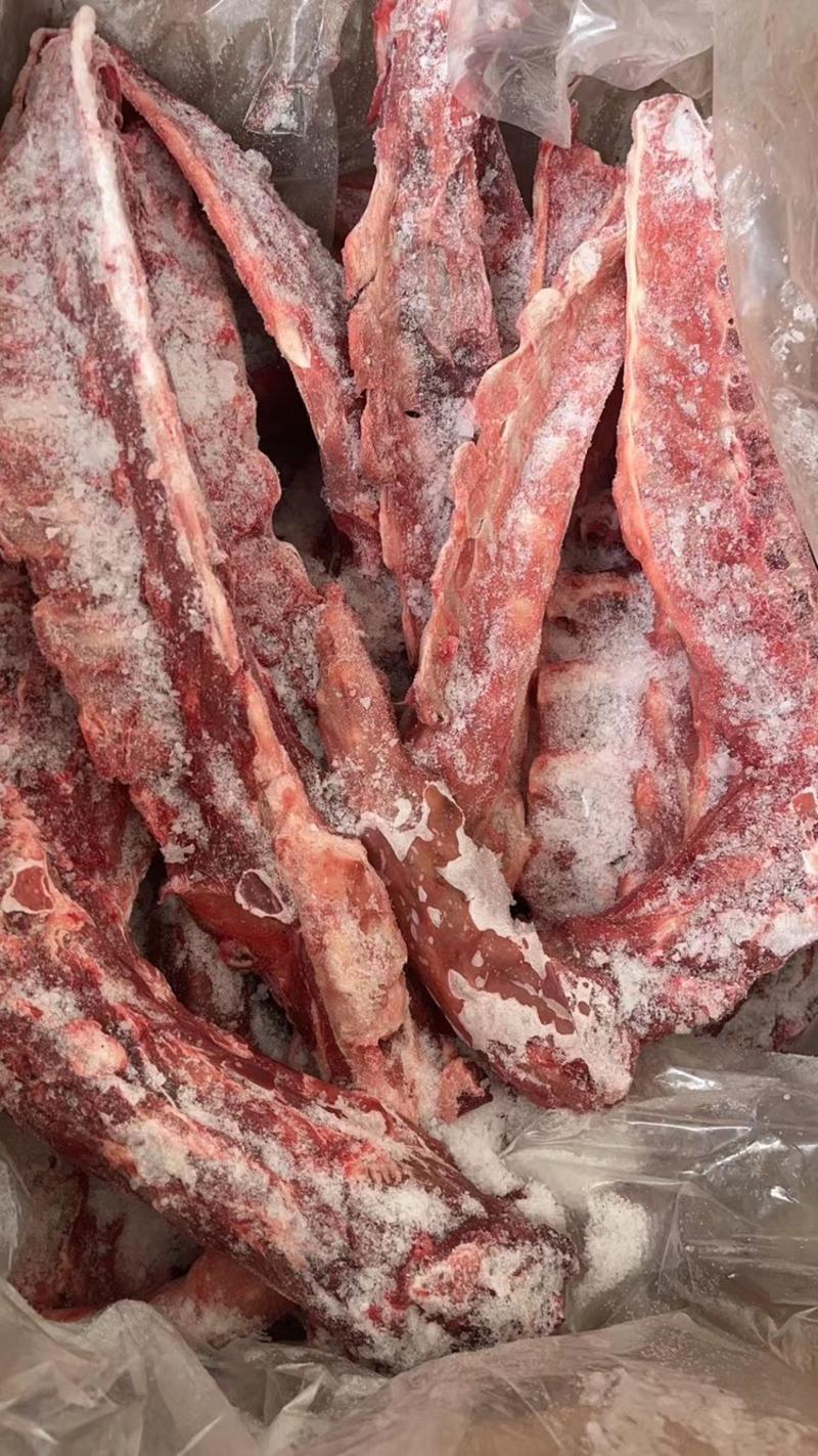 多肉羊蝎子质量稳定肉含量特别高价格合适需要的老板来