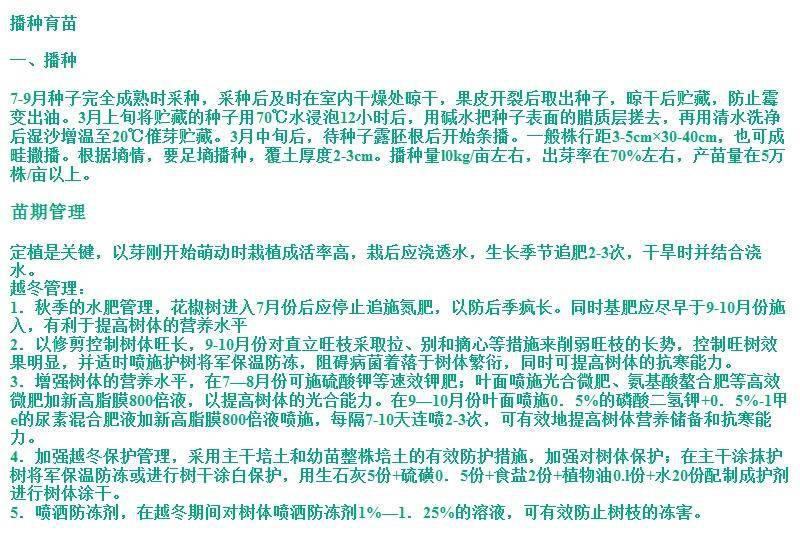 四川花椒树种子正宗大红袍花椒种子韩城九叶青花椒无