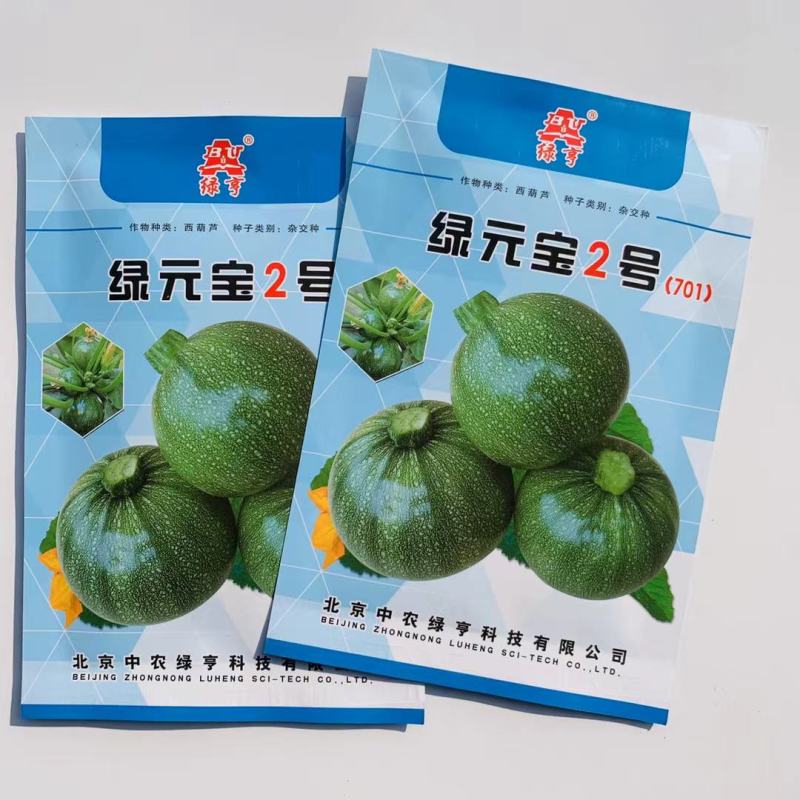 早熟西葫芦种子春秋种植坐果力强耐寒优质品种商品性好