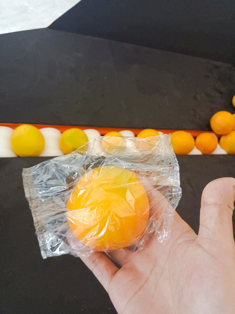 水果立式包装自动化设备