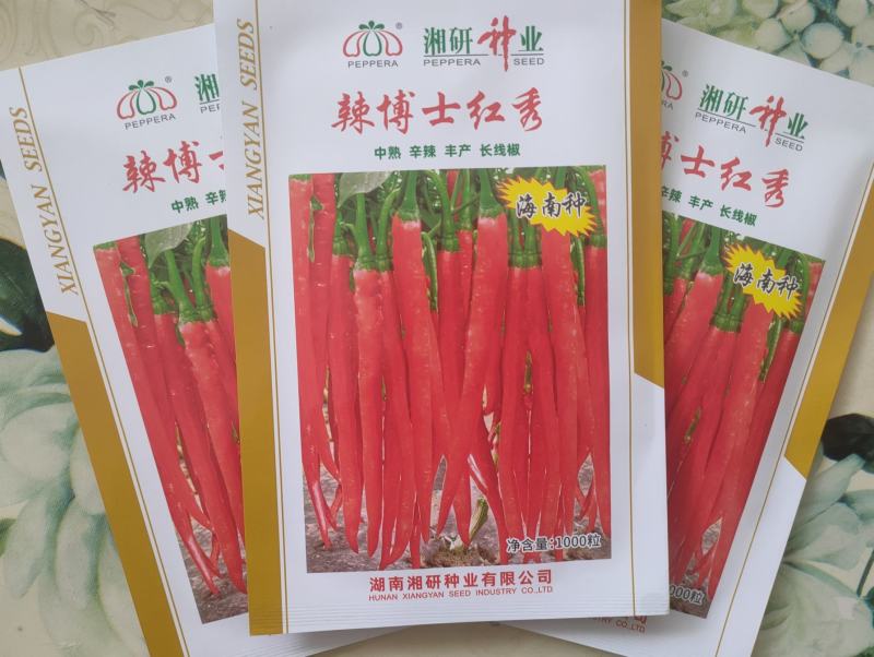 红线椒种子辣丰三号辣椒种子红椒专用品种椒型美颜色好