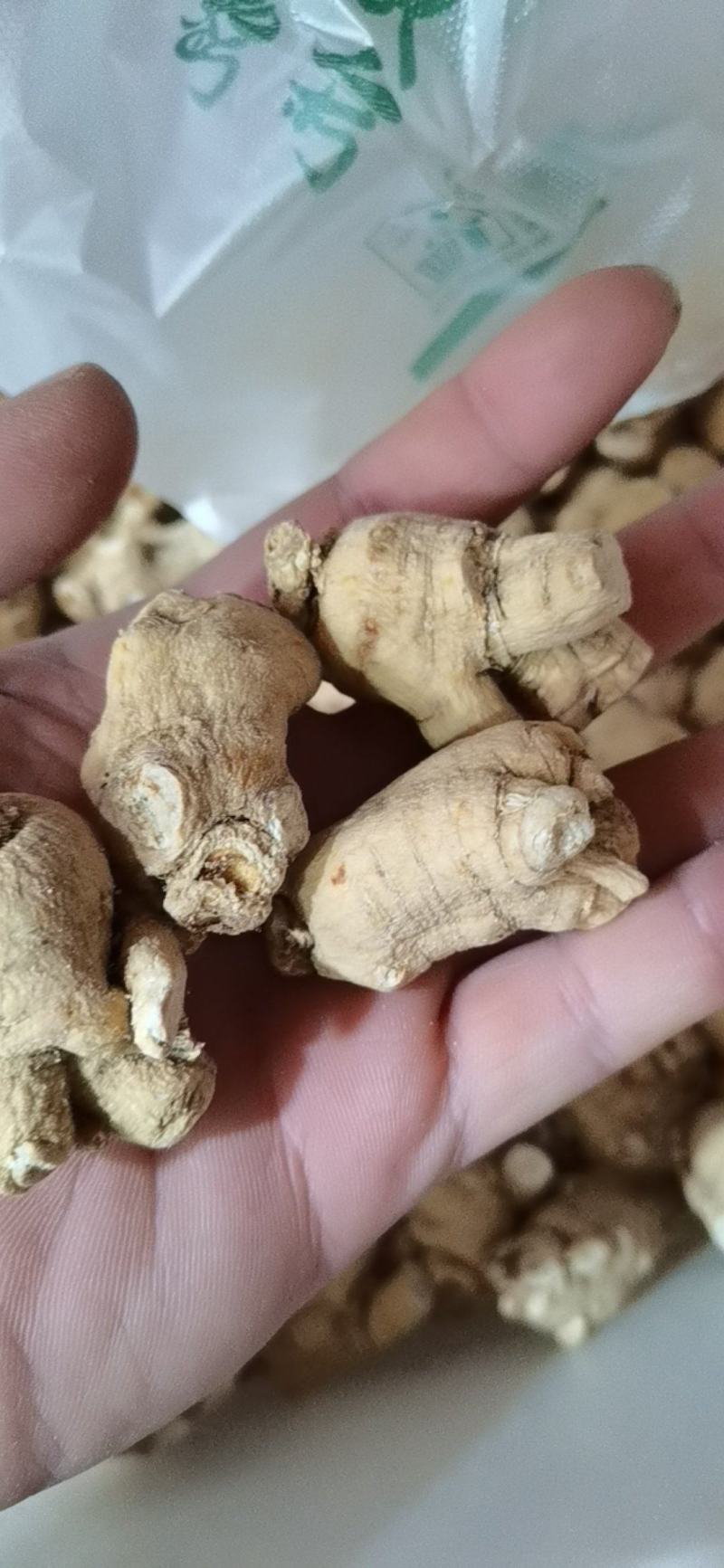 【特价】**漂亮的西洋参粒头本色足干量大价优