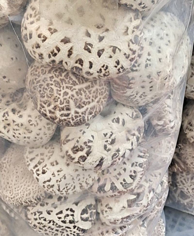 精品香菇干货冬菇花菇干货香菇礼盒规格齐全