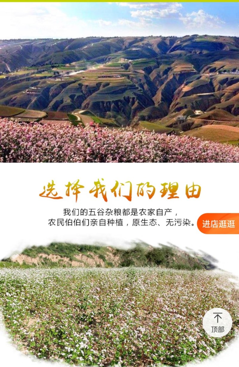 彭阳旱地荞麦面
