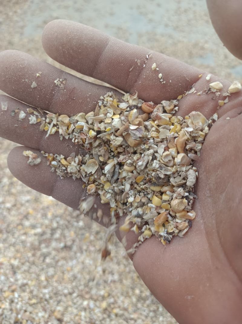 碎玉米杂粮毛粮批发
