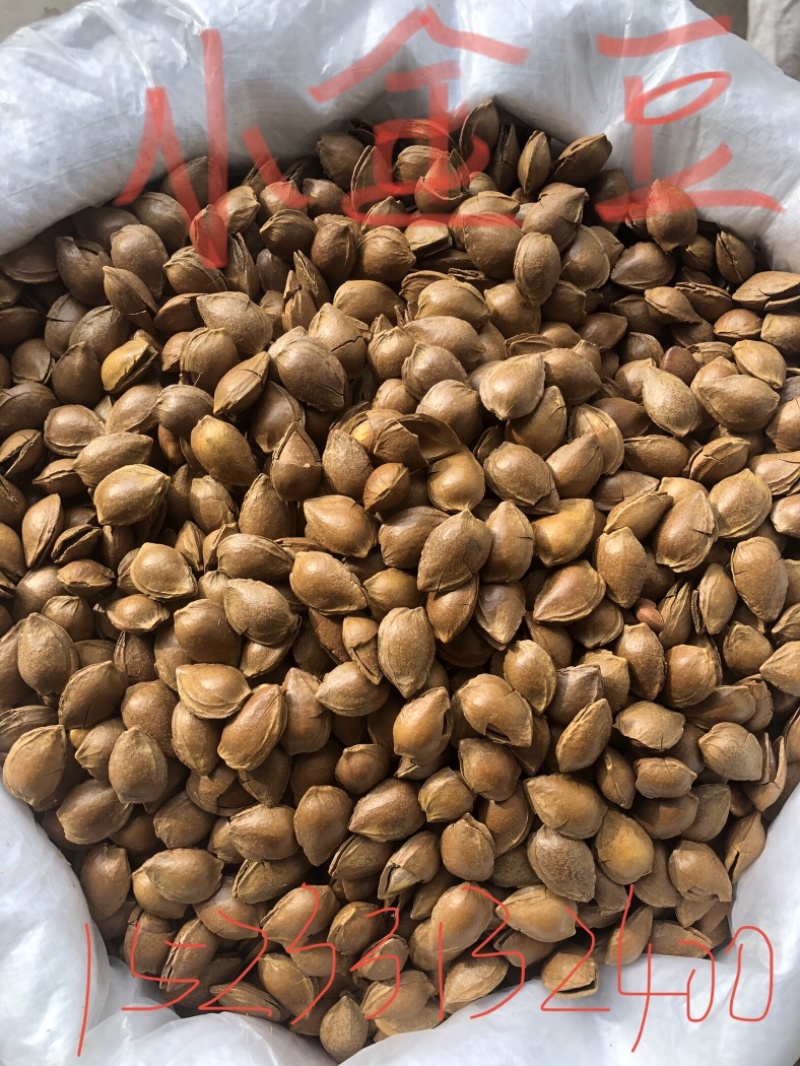 开口杏核，小金豆杏核，箱装奶味袋装开口笑干果