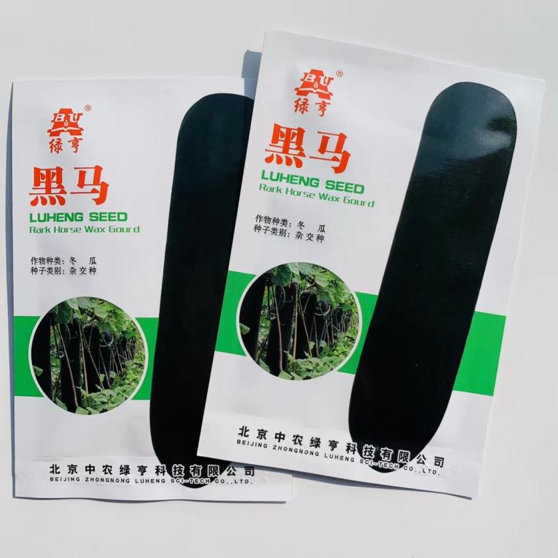 丰产型冬瓜种子瓜形长炮弹形瘦长瓜皮色黑绿肉厚致密柔滑
