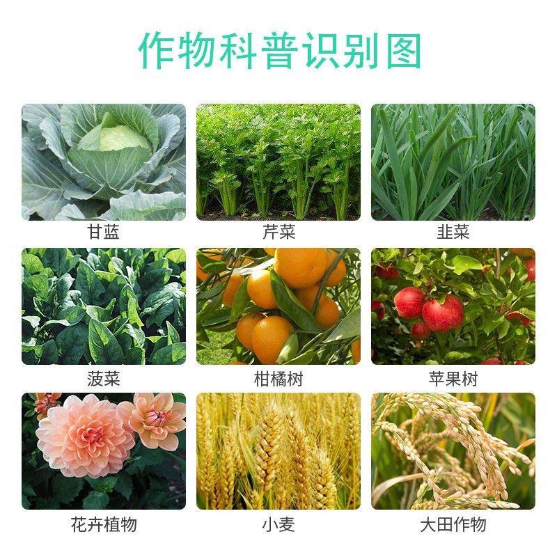 山东科大创业天地清苏云金杆菌茶树茶毛虫菜青虫杀虫剂