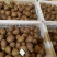 周至海沃德猕猴桃大果，现有冷库货10万斤