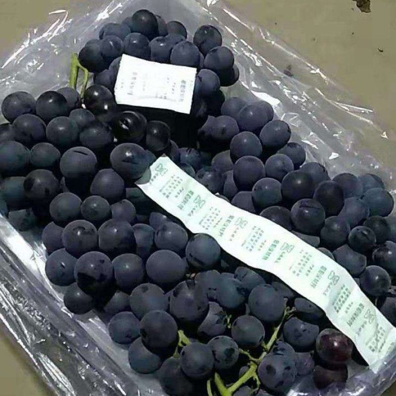 5斤白盒软根自然果不掉粒