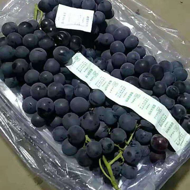 5斤白盒软根自然果不掉粒