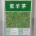 紫羊茅草种冷季型草坪种子庭院草坪道路护坡固土