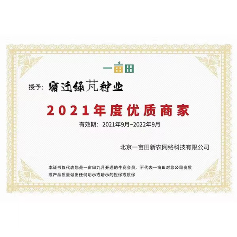 紫羊茅草种冷季型草坪种子庭院草坪道路护坡固土