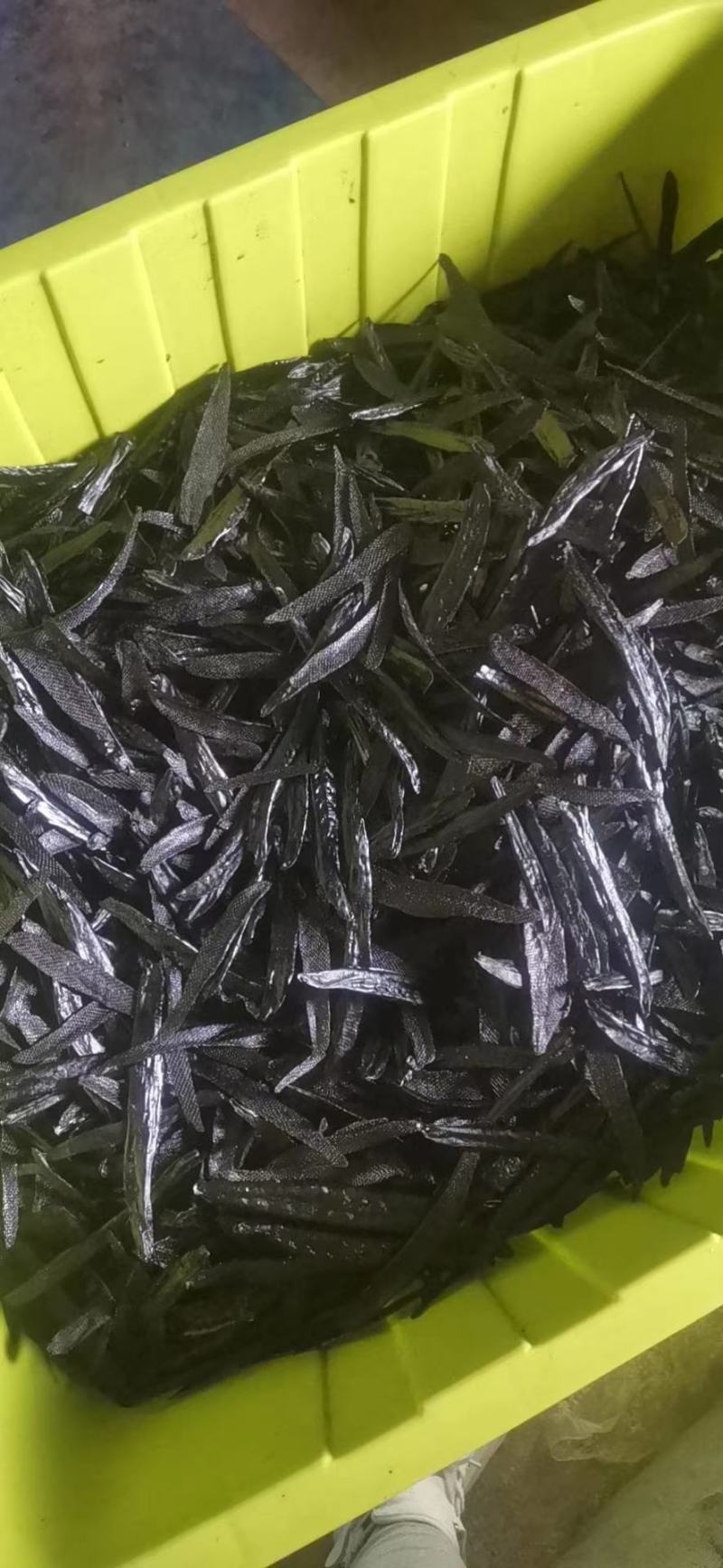 菲牛蛭干货