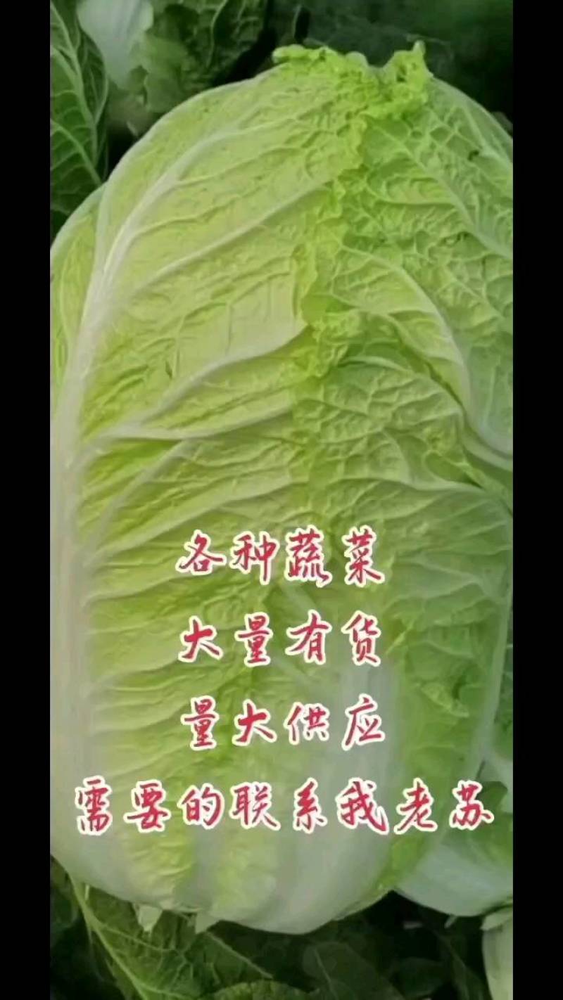 黄心大白菜，农户卖不出去了，质量放心，希望大家帮忙来拉，